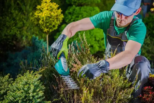 landscaping services Luling